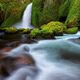 Mossy Goodness