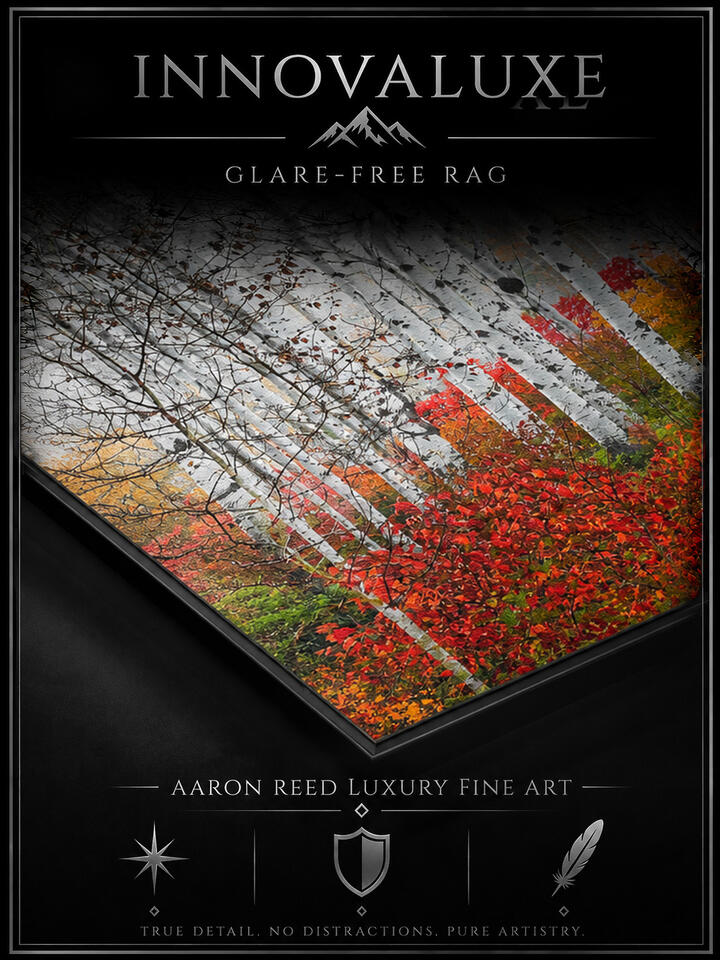 INNOVALUXE ULTRA GLOSS DIBOND RAG | GALLERY FLOAT