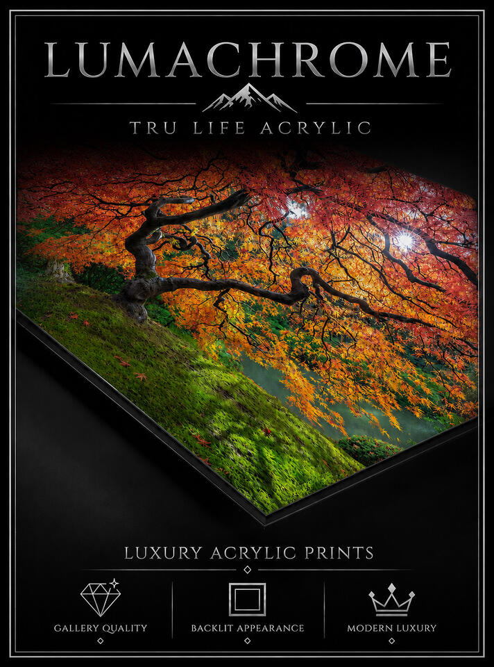LUMACHROME TRULIFE® ACRYLIC FINE ART PRINTS | GALLERY FLOAT