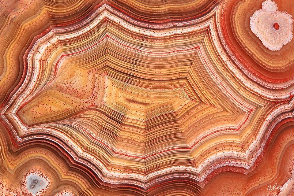 Art of Nature