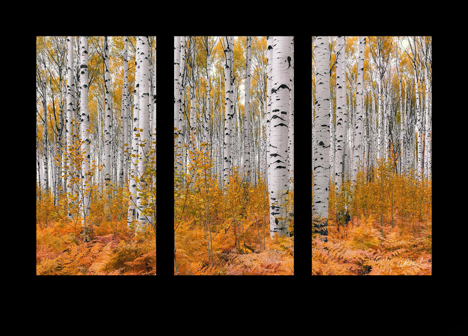Autumn Soldiers Triptych