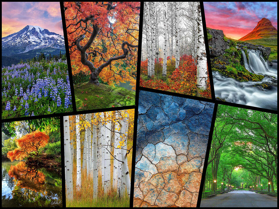Selling Photography Online Personal Mentoring
