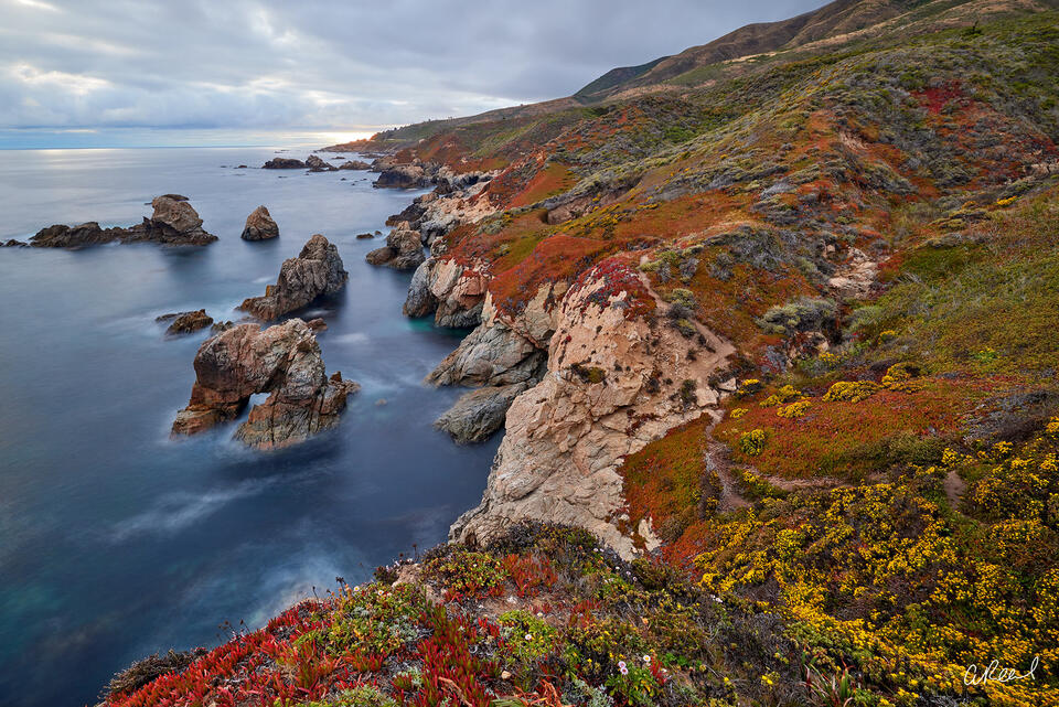 California Color