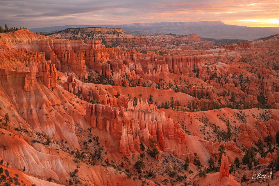 Sunrise over Bryce Canyon National Park, showcasing towering red-orange hoodoos, layered sandstone cliffs, and scattered pine trees under a soft pastel sky.