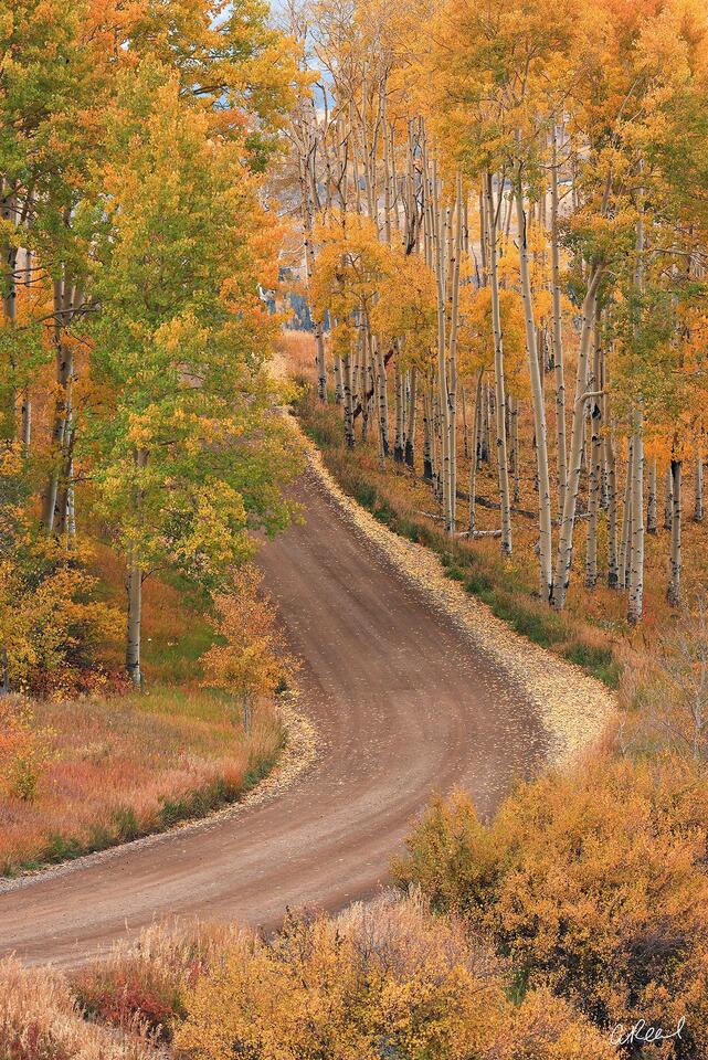 Country Road