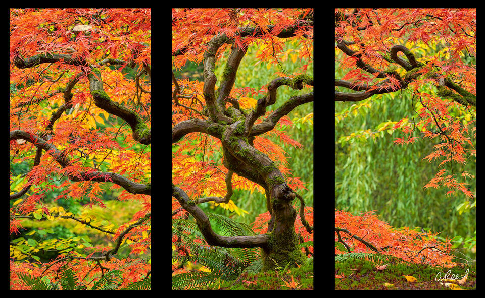 Crackle Triptych