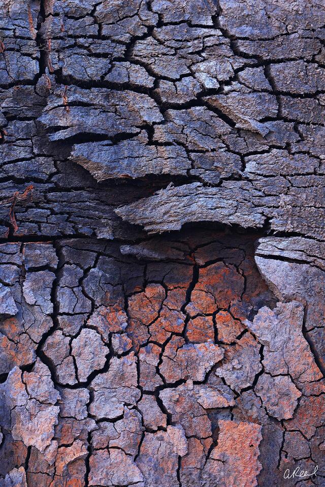 Crumbling Walls