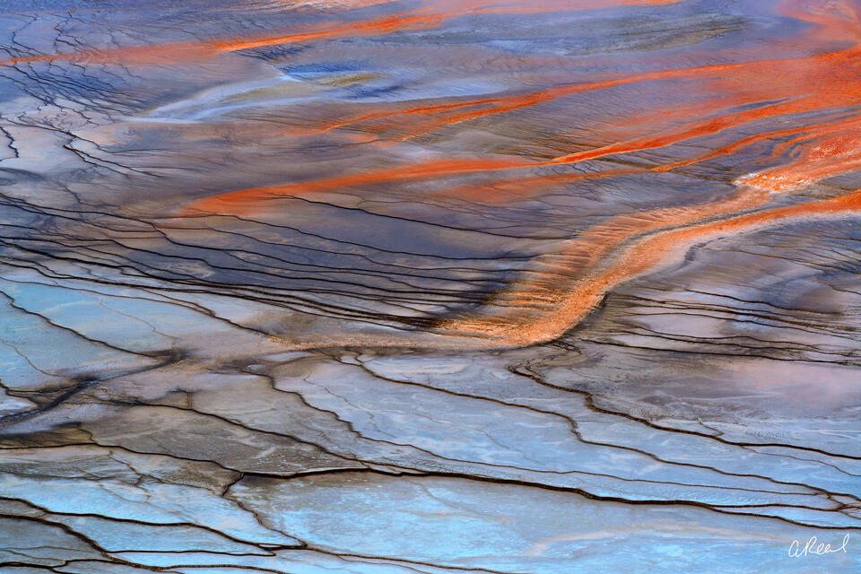 Painted With Fire