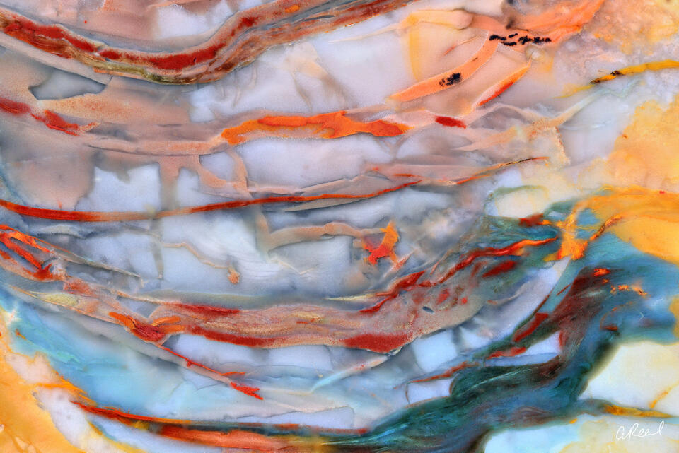 Erratic Beauty