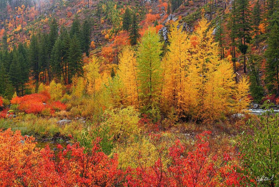 Fifty Shades Of Fall