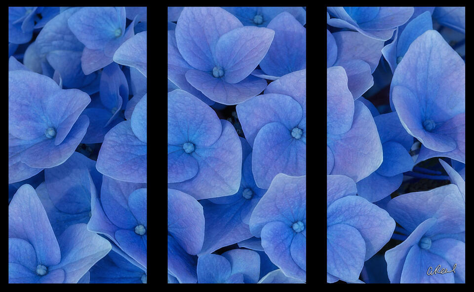 Fragile Triptych