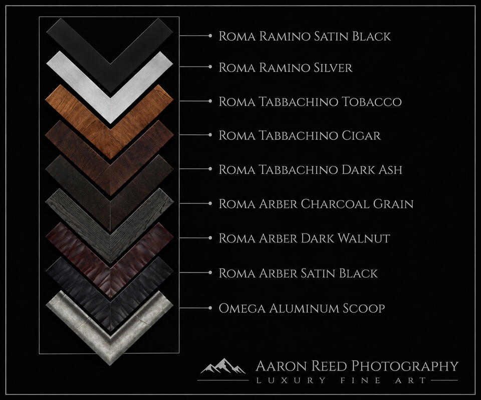 ROMA LUMACHROME TRULIFE® ACRYLIC FINE ART PRINTS | MUSEUM FRAMED