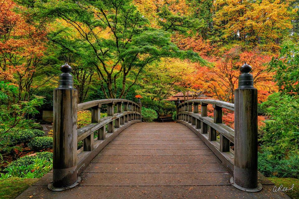 Fine art photo print of a wooden bridge in a Japanese garden, framed by vibrant autumn foliage and balanced symmetry.