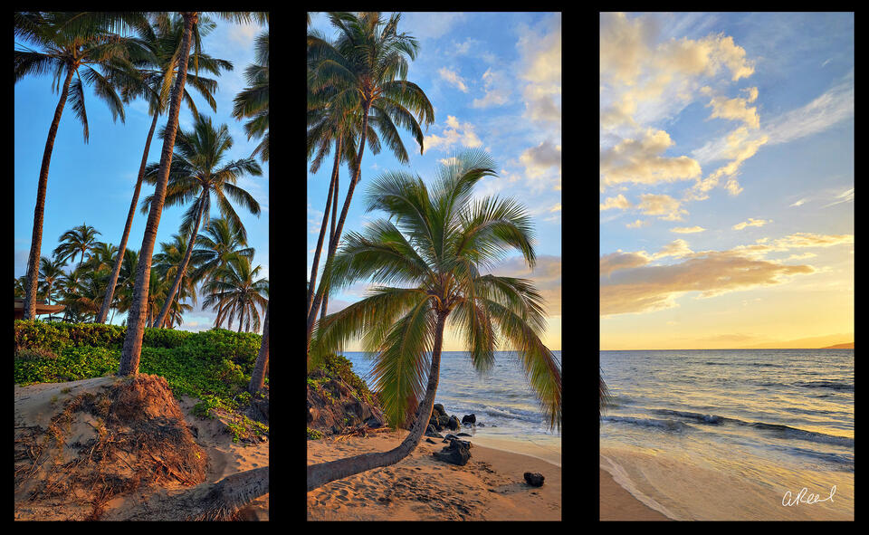 Lifted Triptych