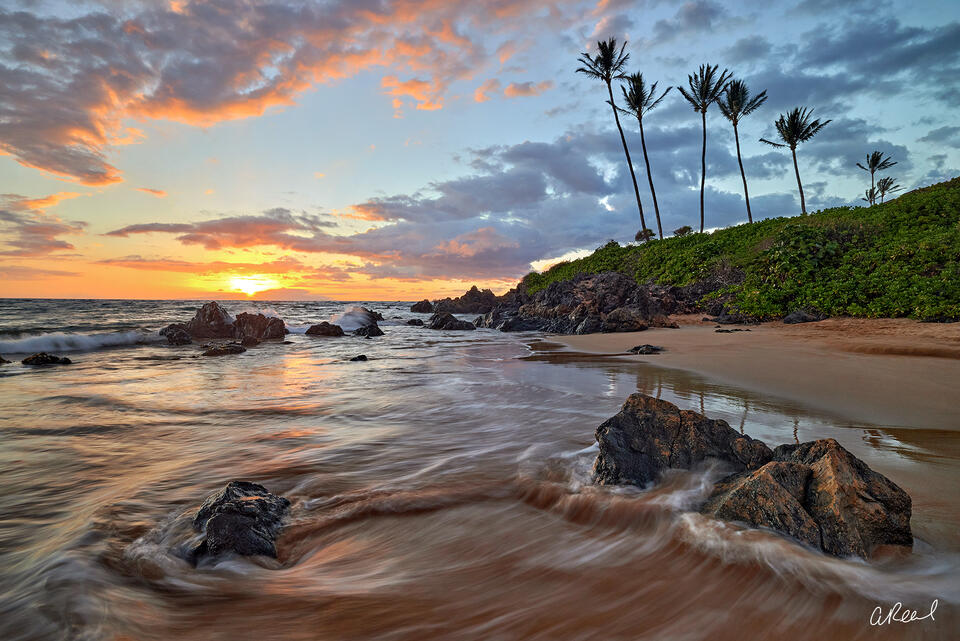 Maui Nights