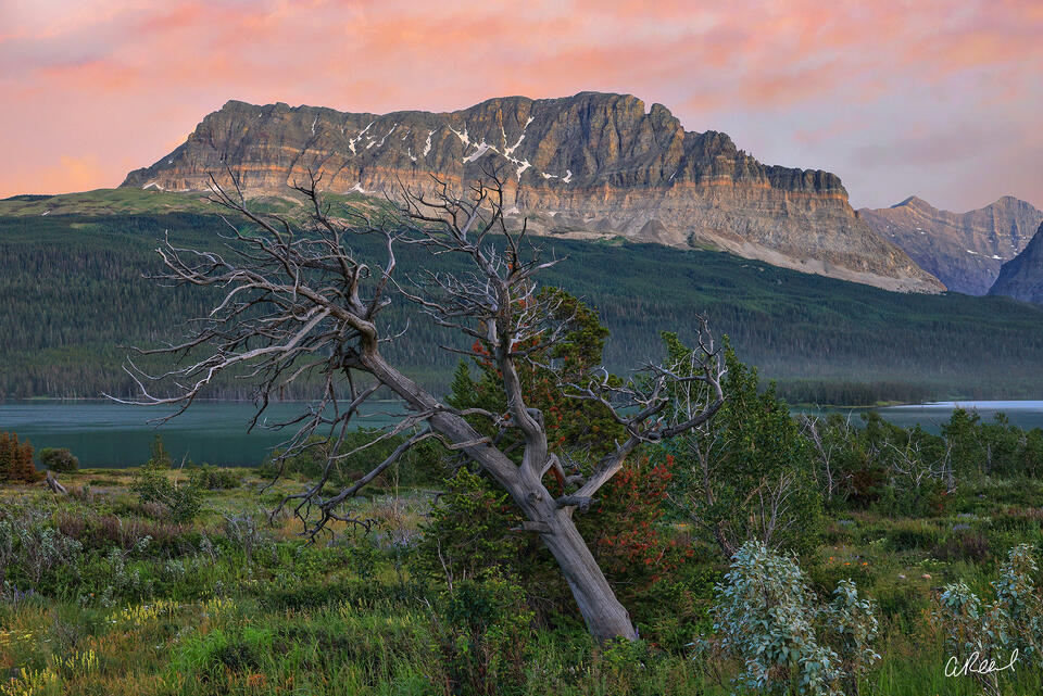 Montana Magic