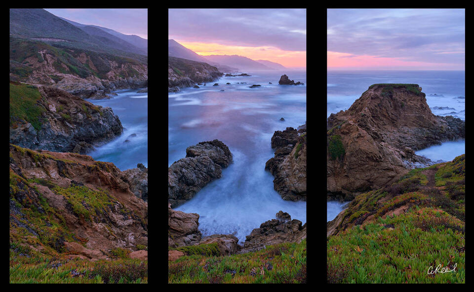 Morning Glory Triptych