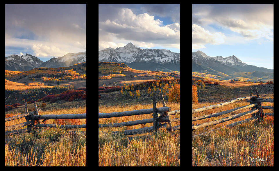Ranch Life Triptych