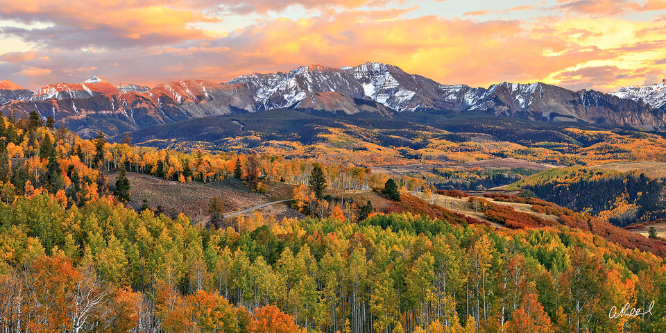 Seasons Flame Panoramic
