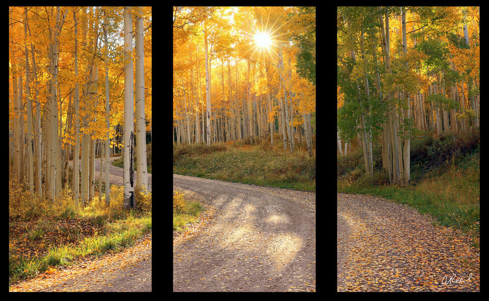 Sweet Dreams Triptych