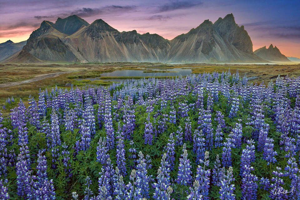The Magic of Vestrahorn