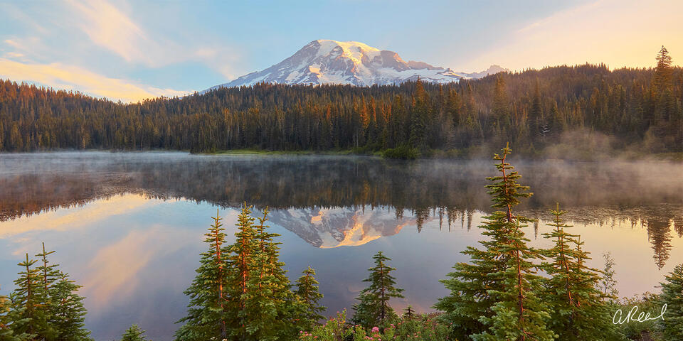 The Revealing Panoramic