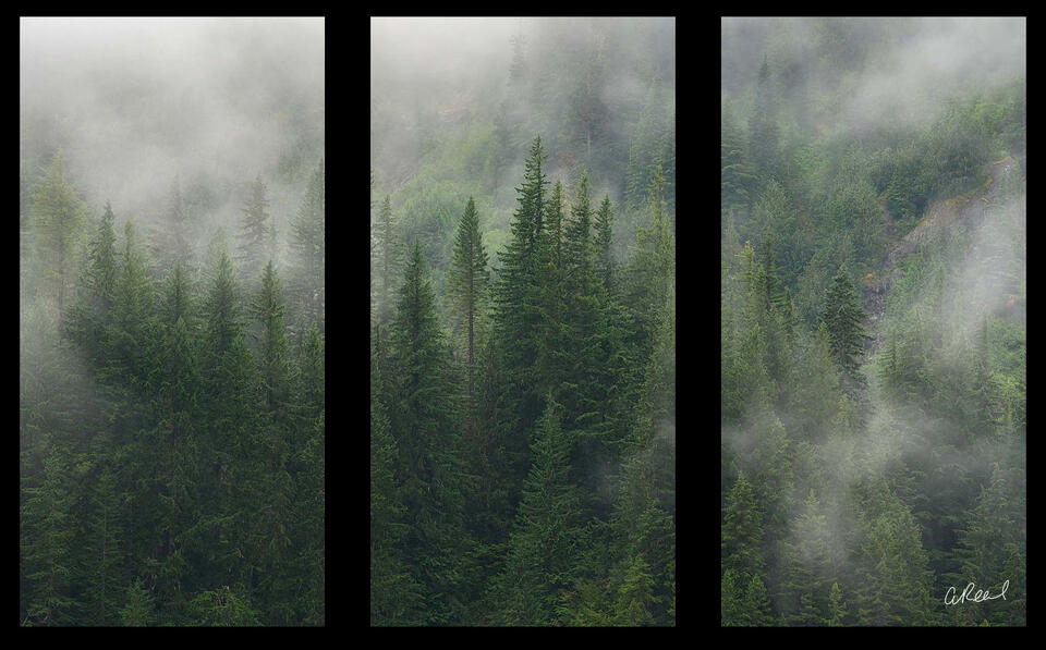 The Sentinels Triptych