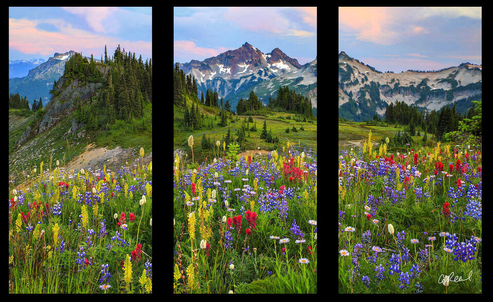 The Sweet Smell Triptych