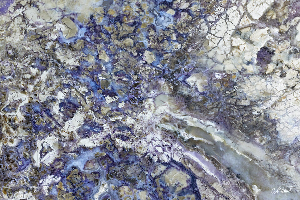 Purple Haze