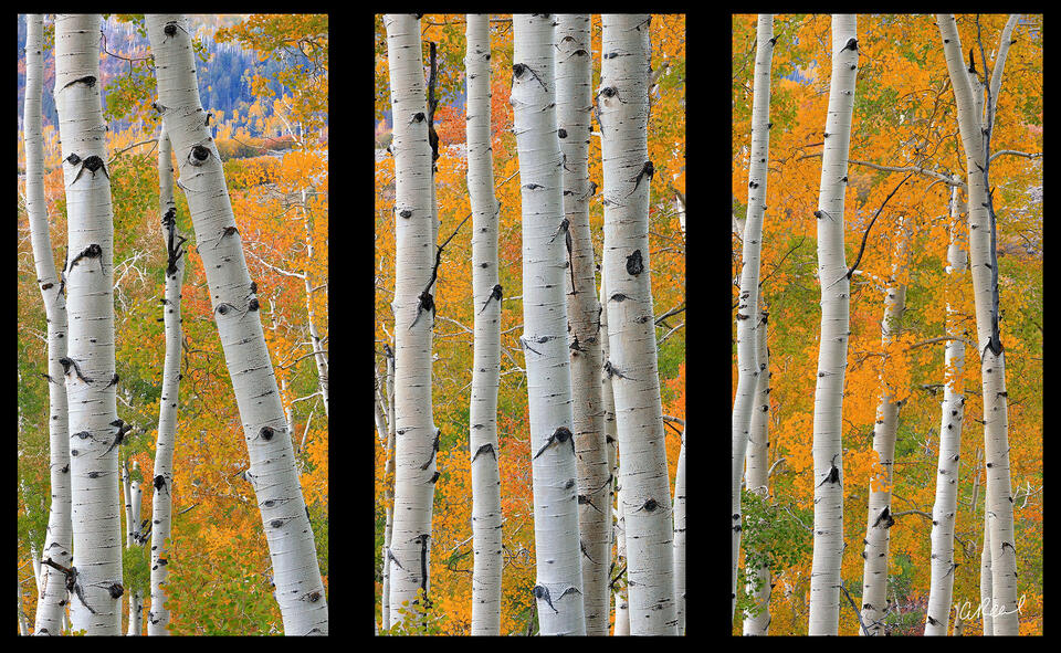 Toy Soldiers Triptych