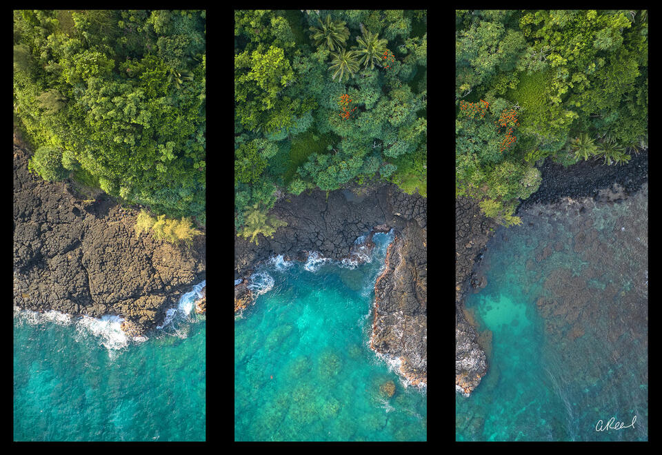 Where The Wild Things Are Triptych