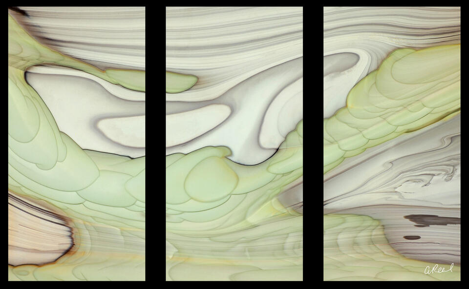Willow Triptych
