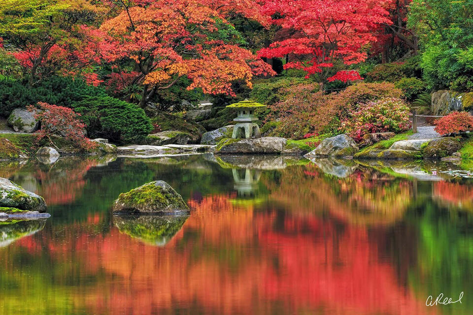 Fine art landscape photograph of a Japanese garden in peak autumn, featuring vivid maple foliage reflected in a still pond with a traditional stone lantern.