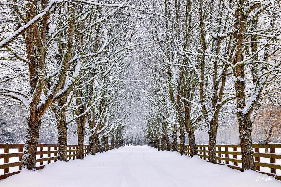 Old Man Winter
