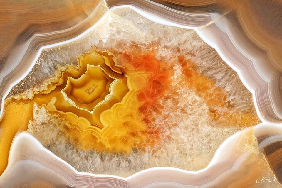 Sunburst