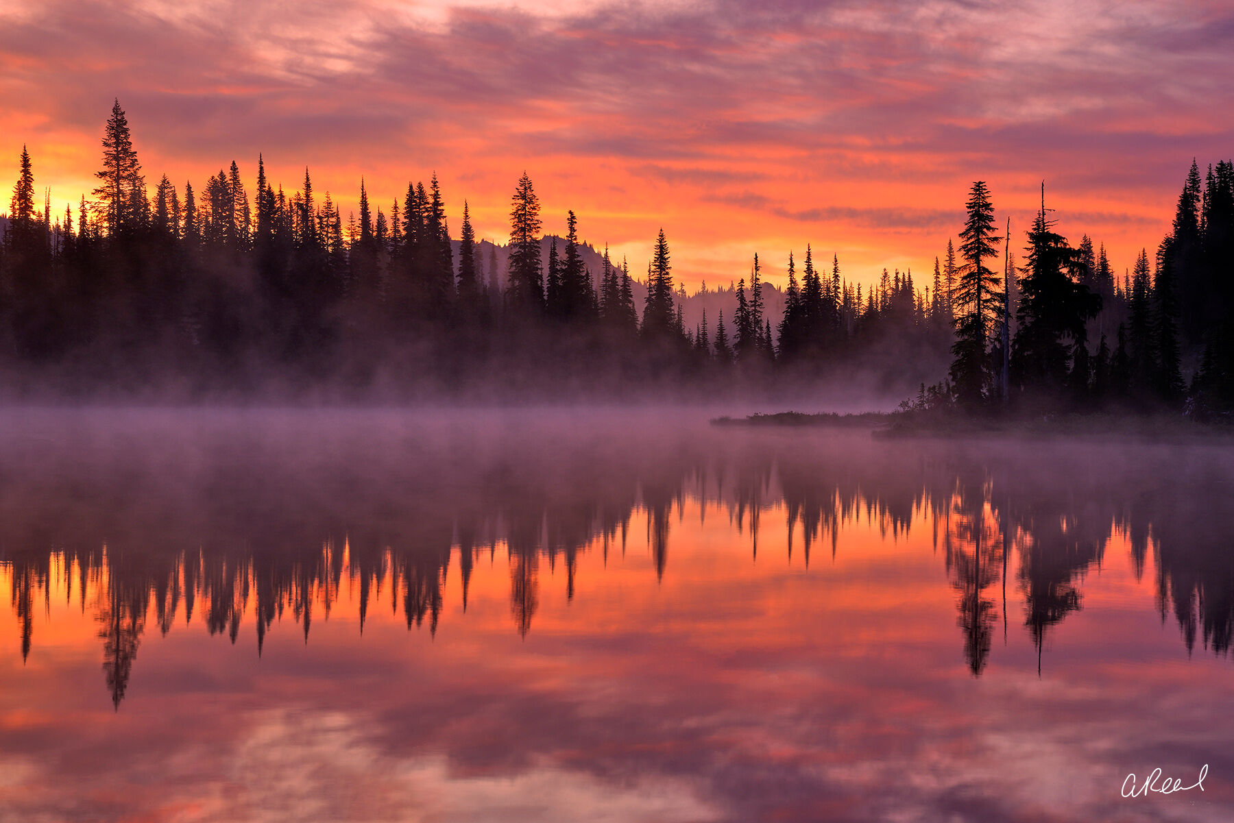 A chill dawn sets the sky alight behind the bristled silhouettes of a stand of cedar and fir. A ghostly mist hangs over the mirror...