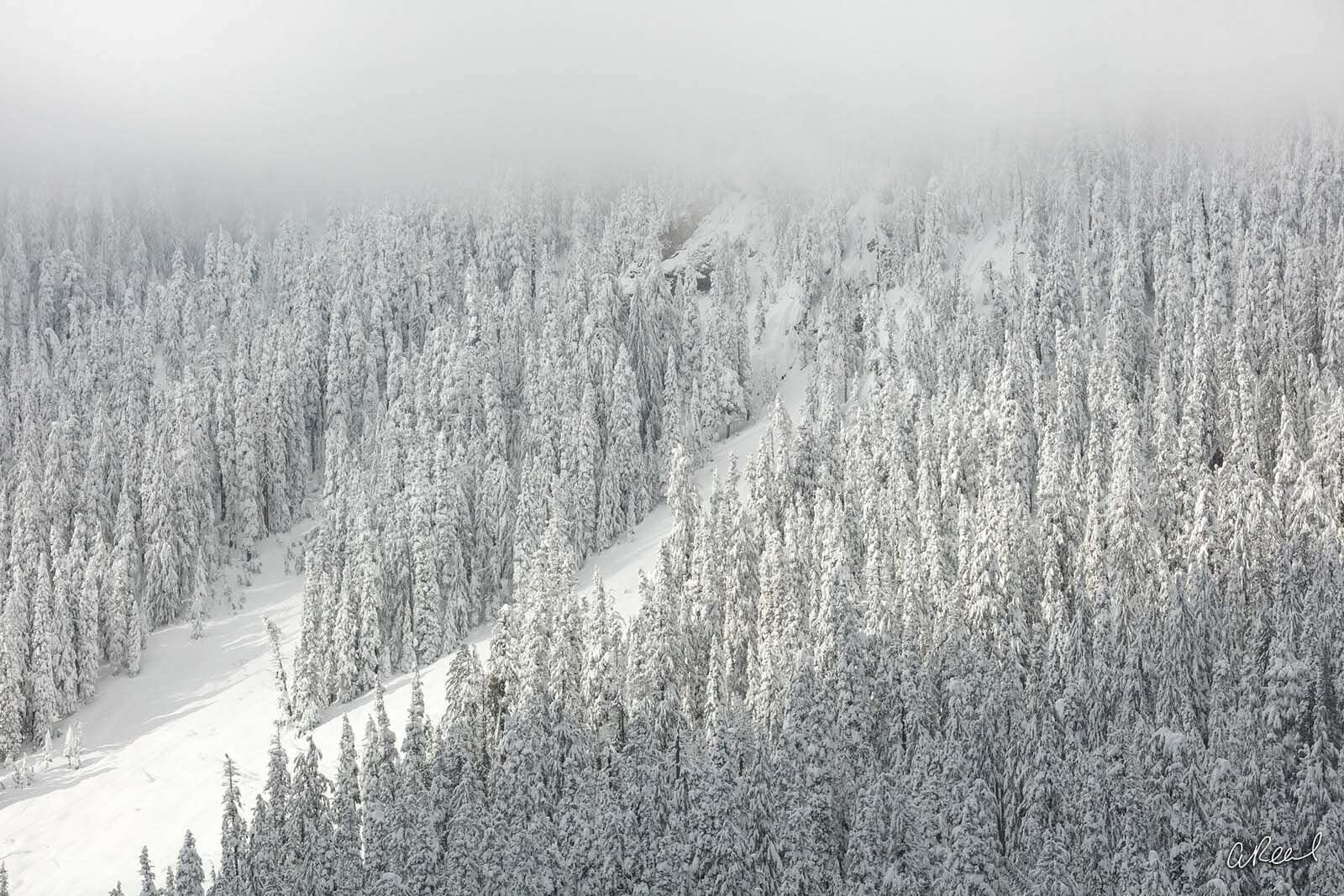 Snow Angels photo Fine Art, Limited Edition, Snow, Winter, Seattle, Snoqualmie, Pass, Washington, photo