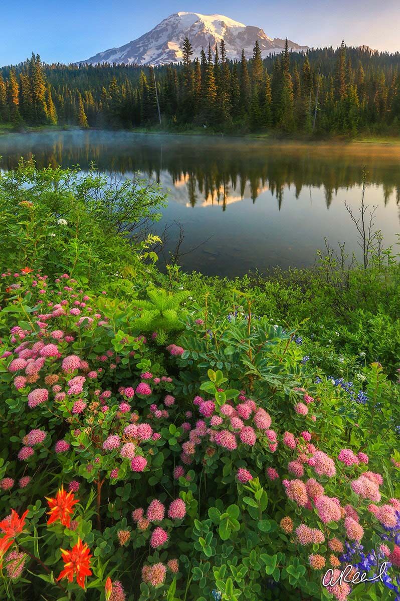 Summer Mornings photo Rainier, Mt Rainier, Reflection, Summer, Mornings, Fine Art, Lake, Limited Edition, , photo