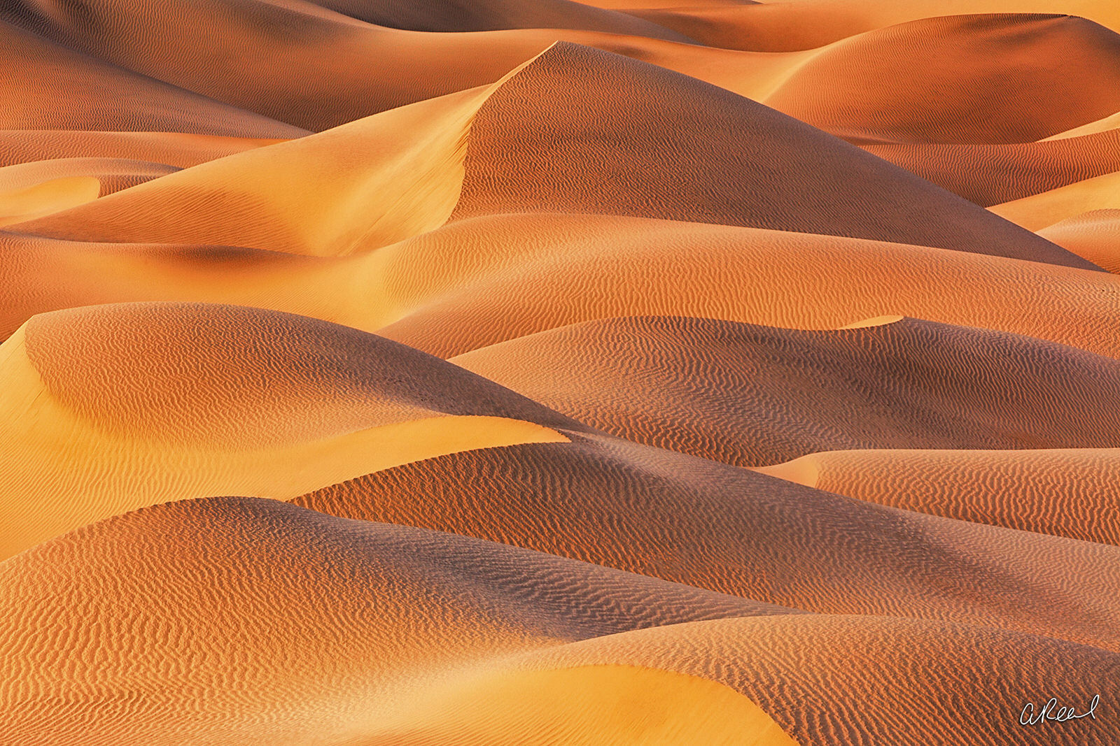 The Sands Of Time photo Limited Edition, Fine Art, Sand Dune, Death Valley, California, Mesquite Dunes, National Park, Abstract , photo
